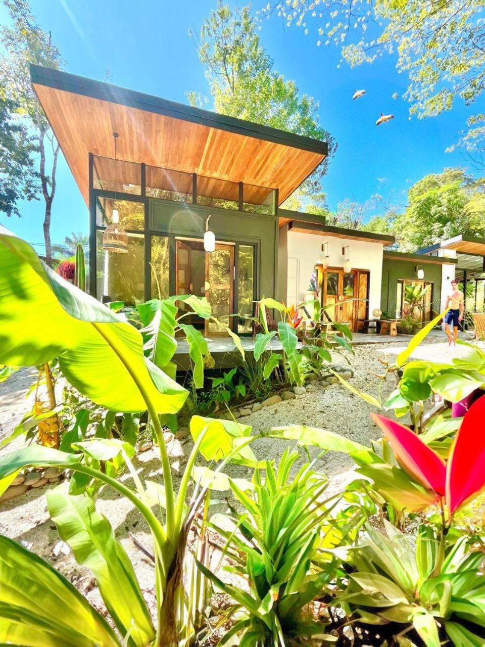 Ikiru House Villa Playa Santa Teresa  Eksteriør billede